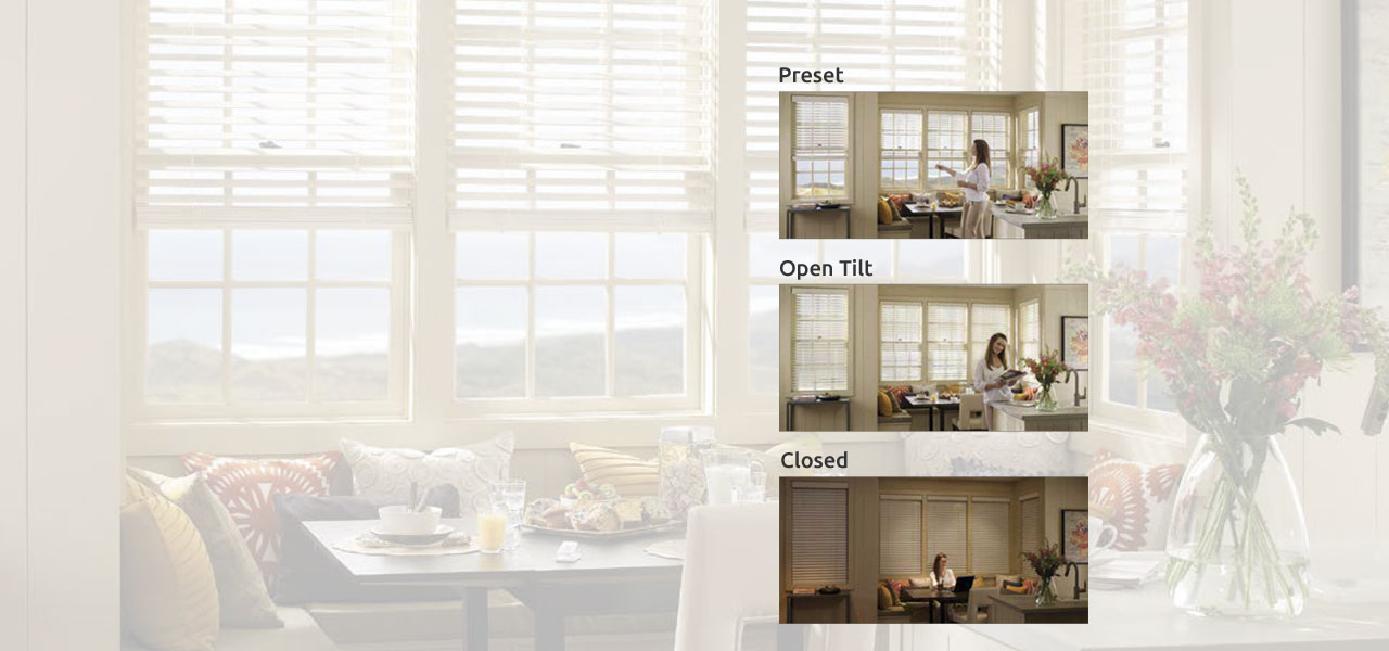 Window Treatments